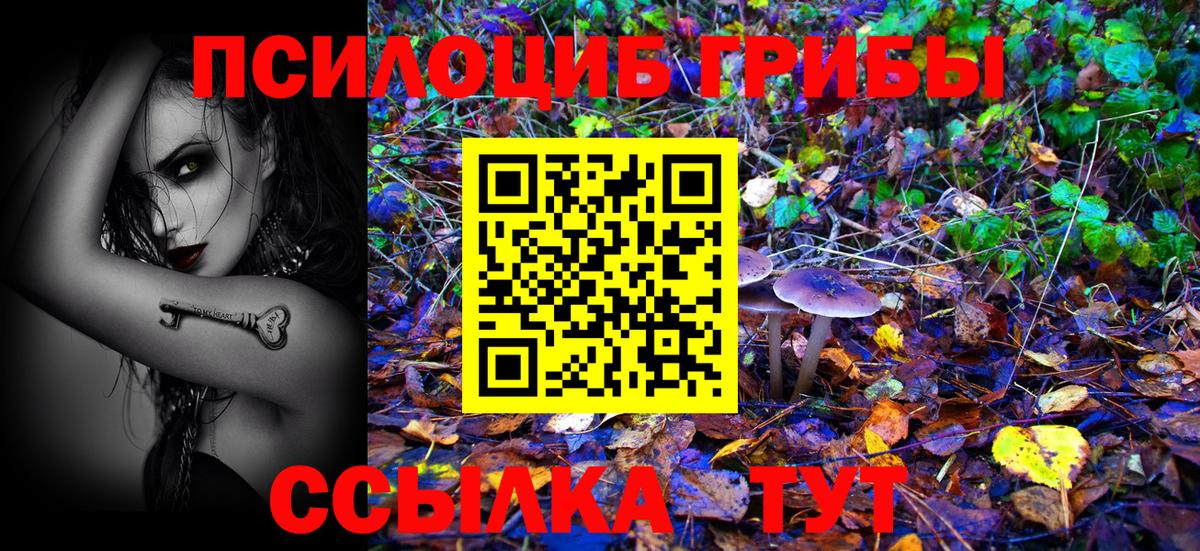 Златоуст  цена наркотик  Псилоцибиновые грибы прущие грибы  Вход с VPN  Псилоцибиновые грибы GOLDEN TEACHER 